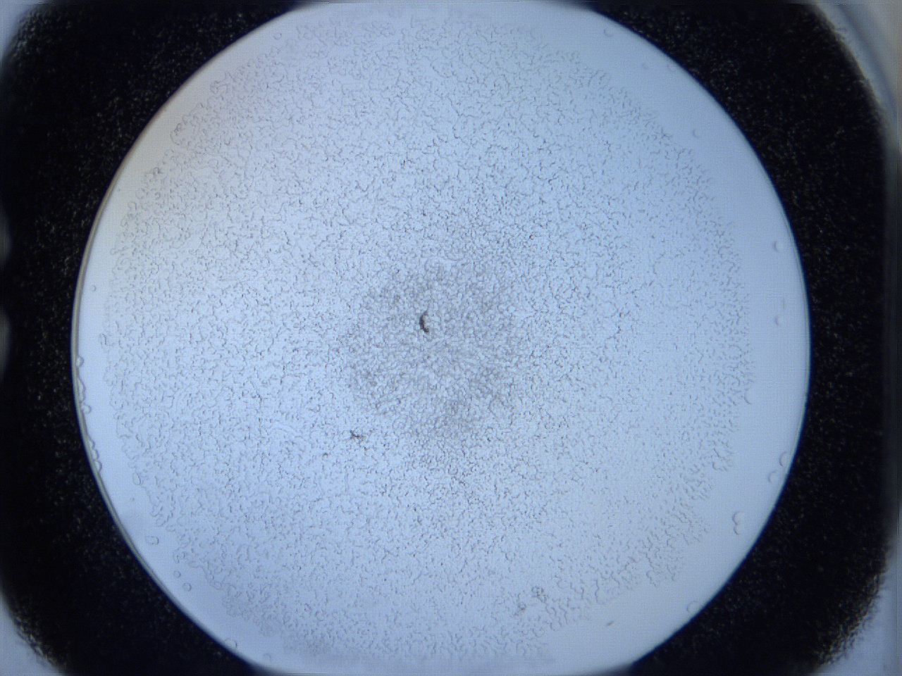 05wx_C6_ImagerDefaults_5.jpg