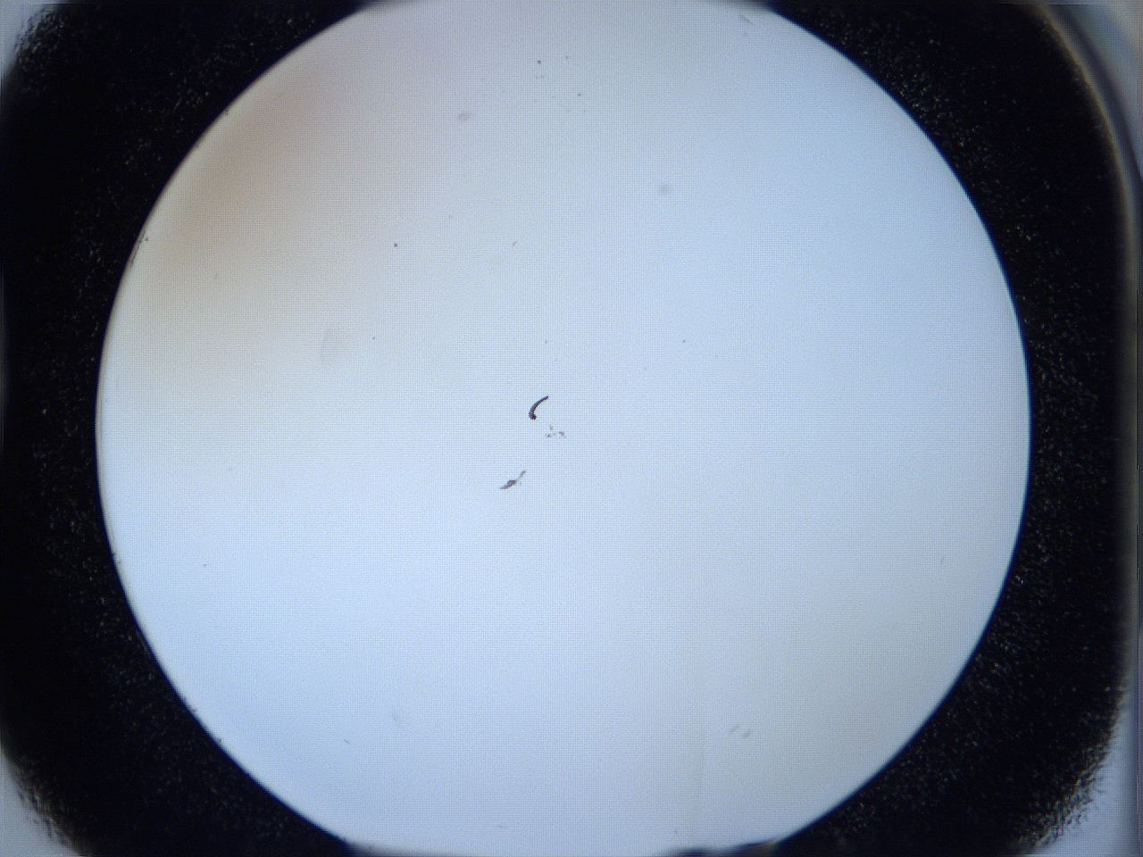 05wx_D2_ImagerDefaults_0.jpg