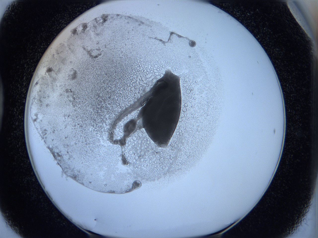 05wx_D6_ImagerDefaults_5.jpg