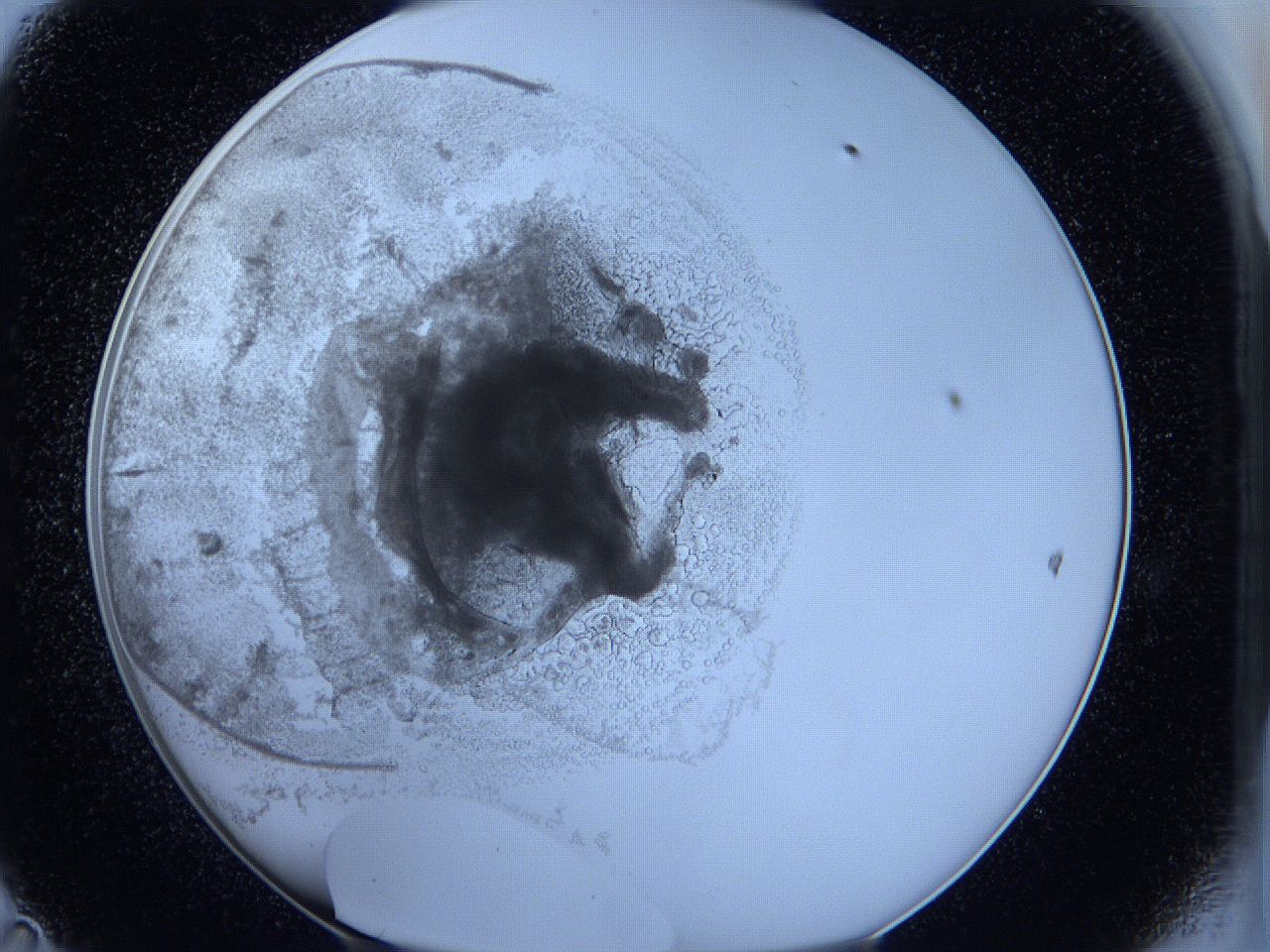 05wx_D11_ImagerDefaults_5.jpg