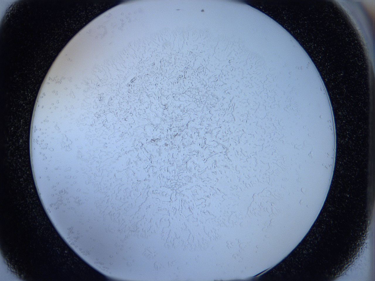 05wx_E8_ImagerDefaults_5.jpg