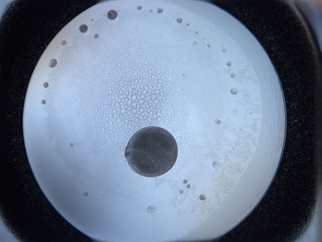 05wx_F5_ImagerDefaults_5.jpg