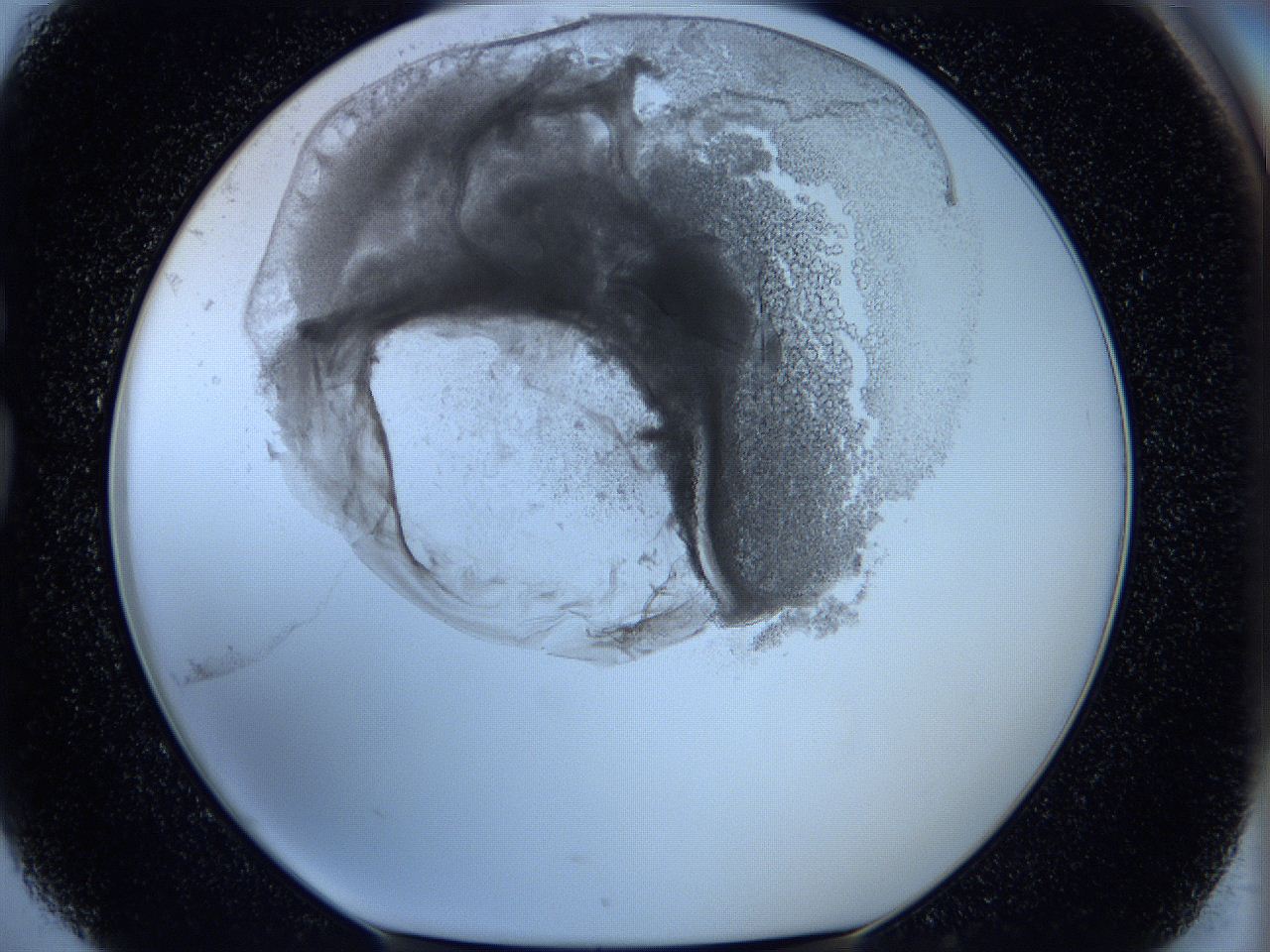 05wx_G4_ImagerDefaults_5.jpg