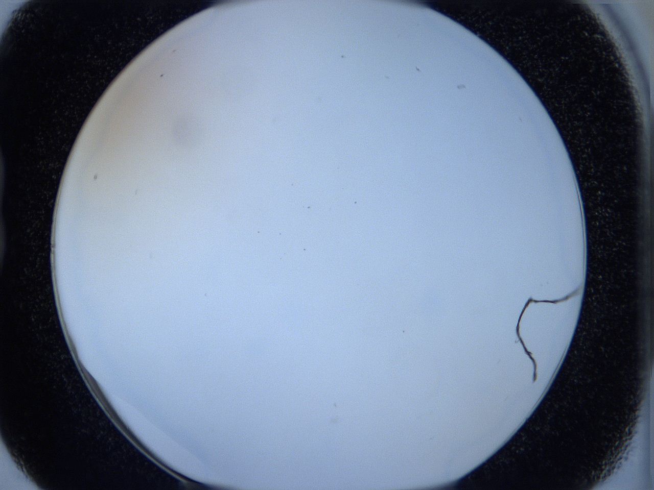 05wx_B5_ImagerDefaults_0.jpg