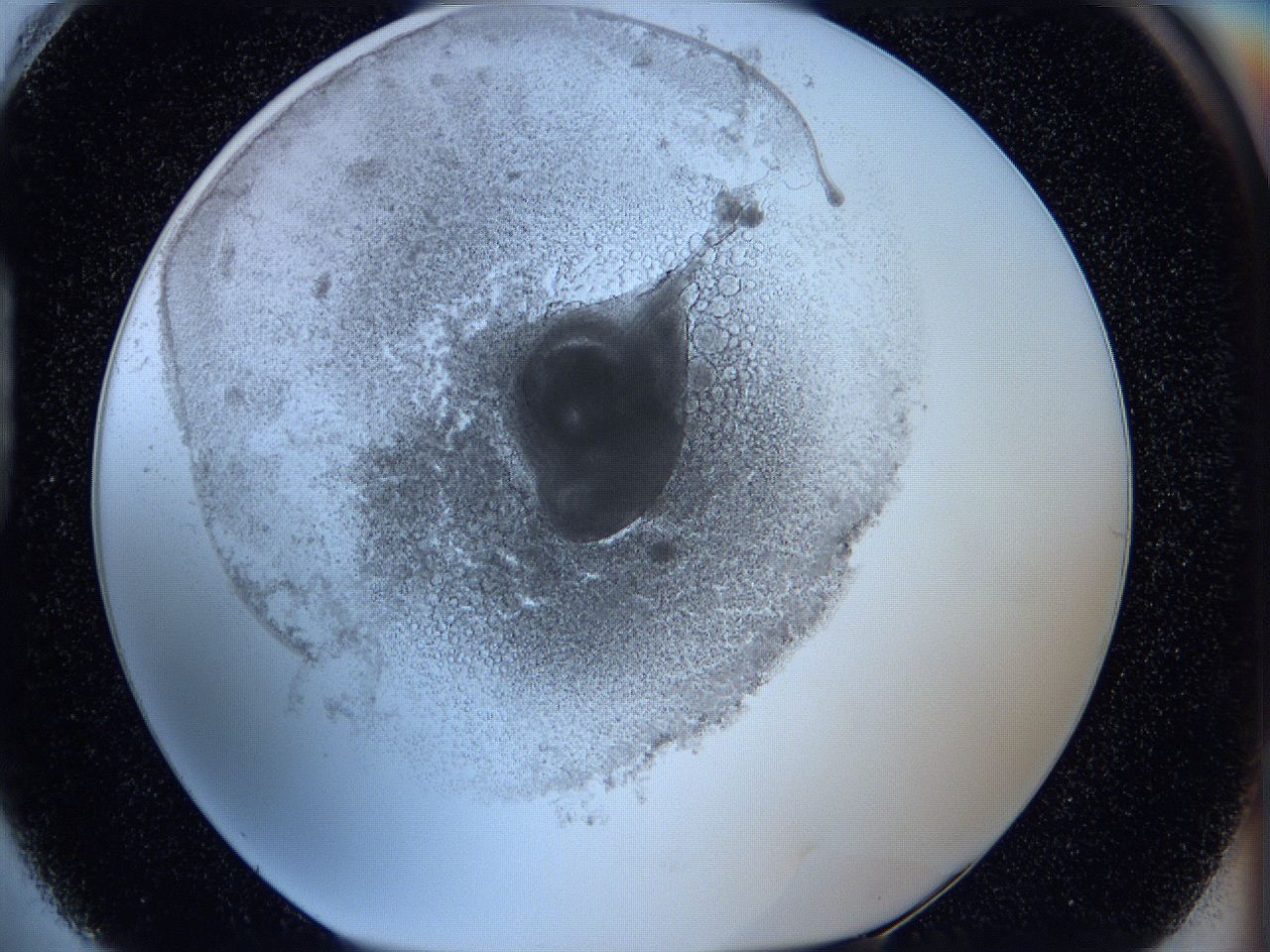 05wx_H4_ImagerDefaults_5.jpg