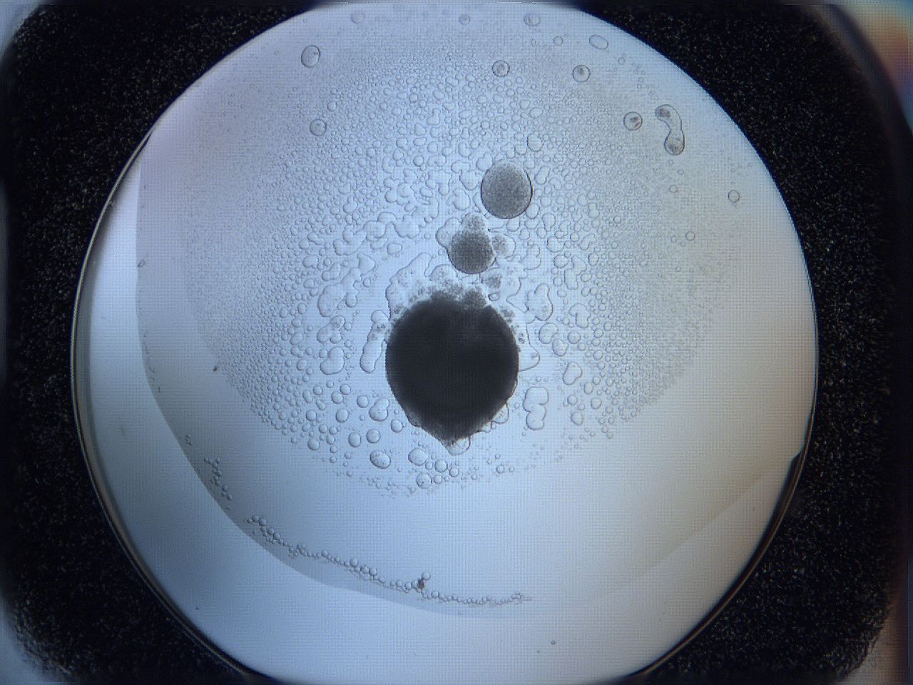 05wx_H5_ImagerDefaults_5.jpg