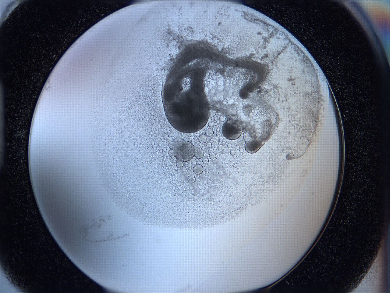 05wx_H6_ImagerDefaults_5.jpg