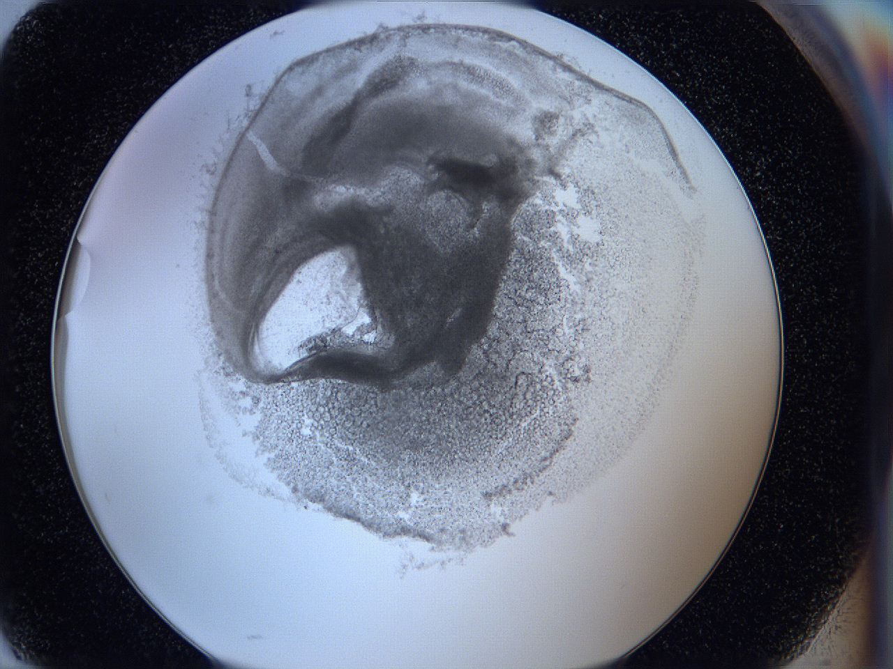05wx_H10_ImagerDefaults_3.jpg