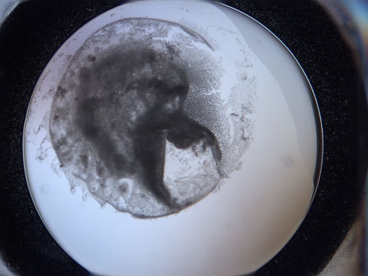 05wx_H11_ImagerDefaults_3.jpg