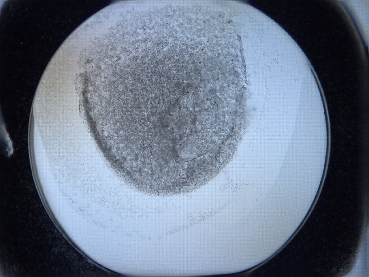 05wx_A2_ImagerDefaults_5.jpg
