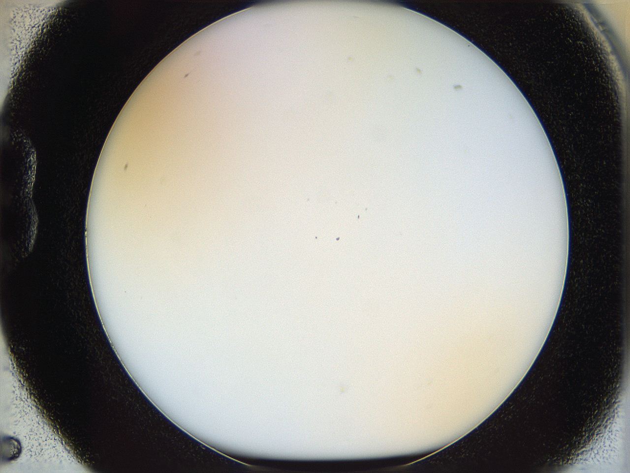 05wy_B5_ImagerDefaults_0.jpg