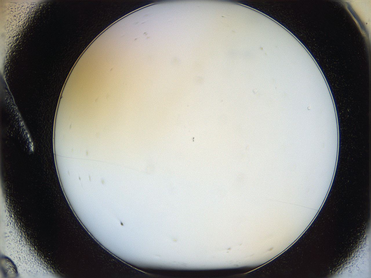 05wy_A8_ImagerDefaults_0.jpg