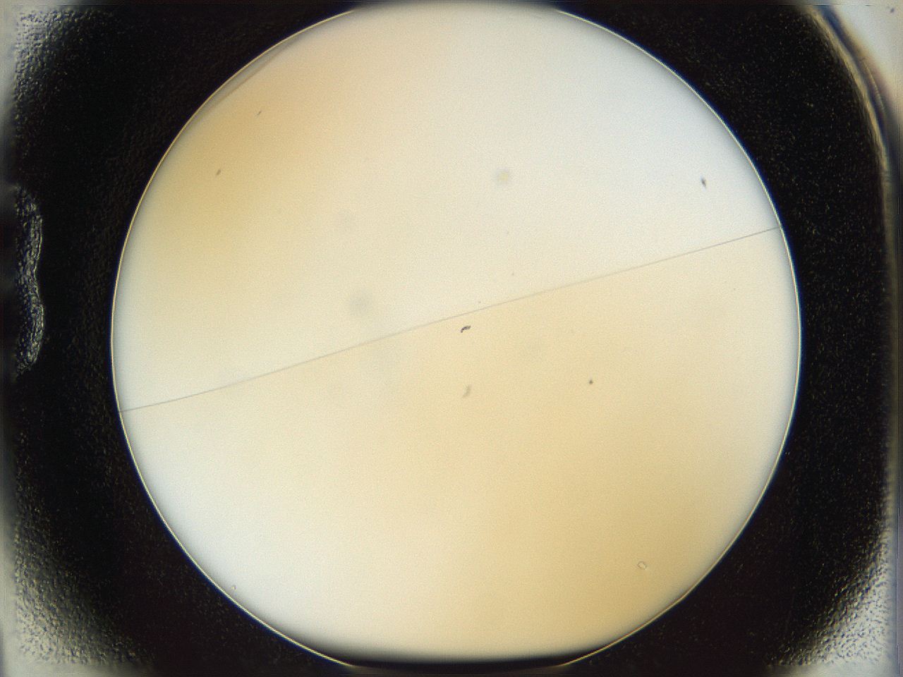 05wy_B1_ImagerDefaults_0.jpg