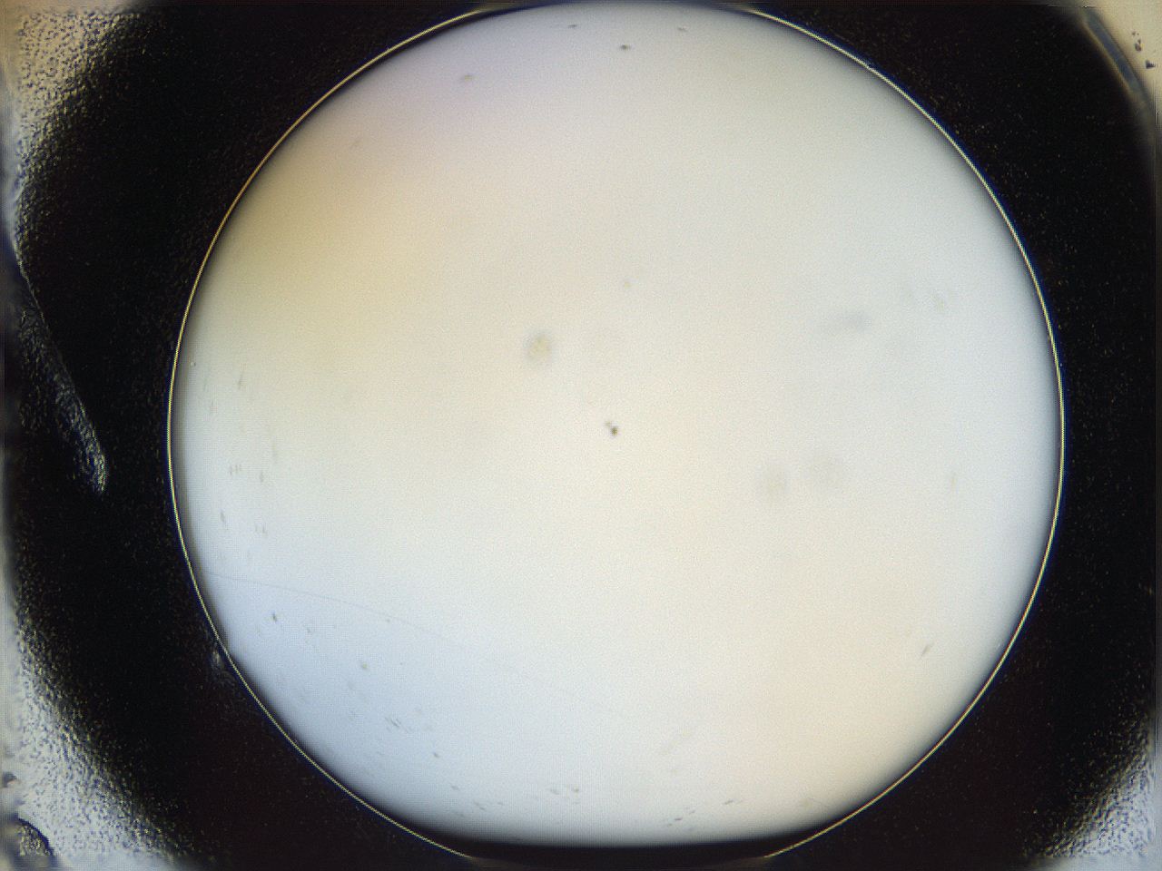 05wy_A9_ImagerDefaults_0.jpg