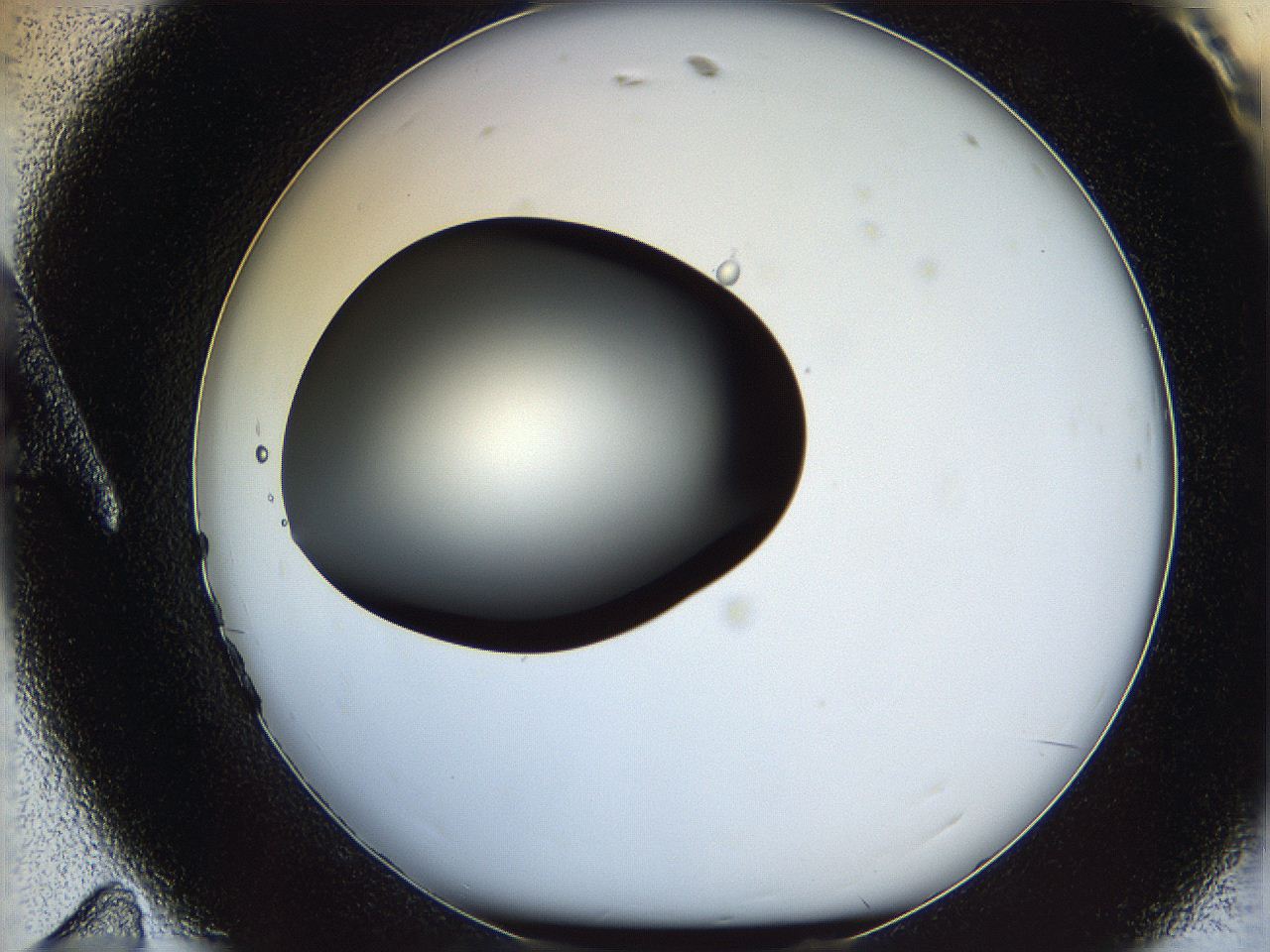 05wy_A11_ImagerDefaults_5.jpg