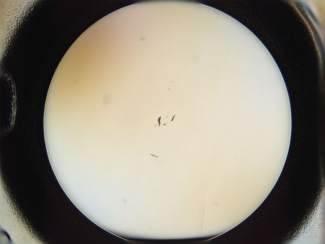 05wy_D2_ImagerDefaults_1.jpg