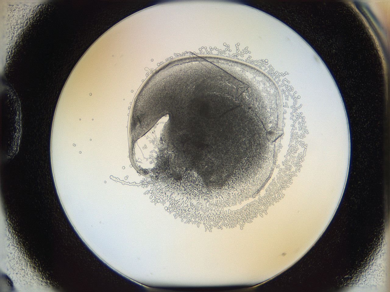 05wy_D3_ImagerDefaults_5.jpg
