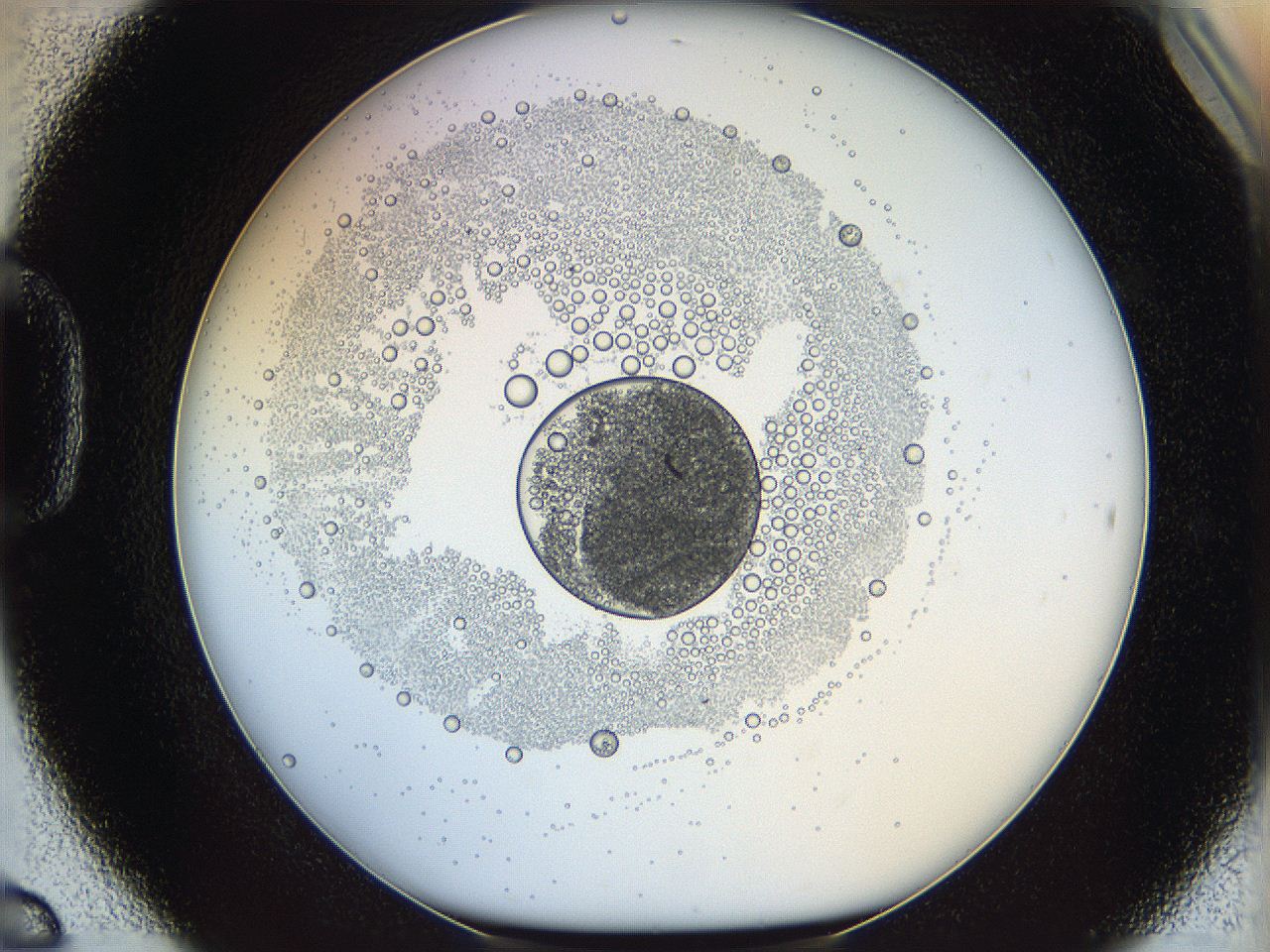 05wy_D6_ImagerDefaults_5.jpg