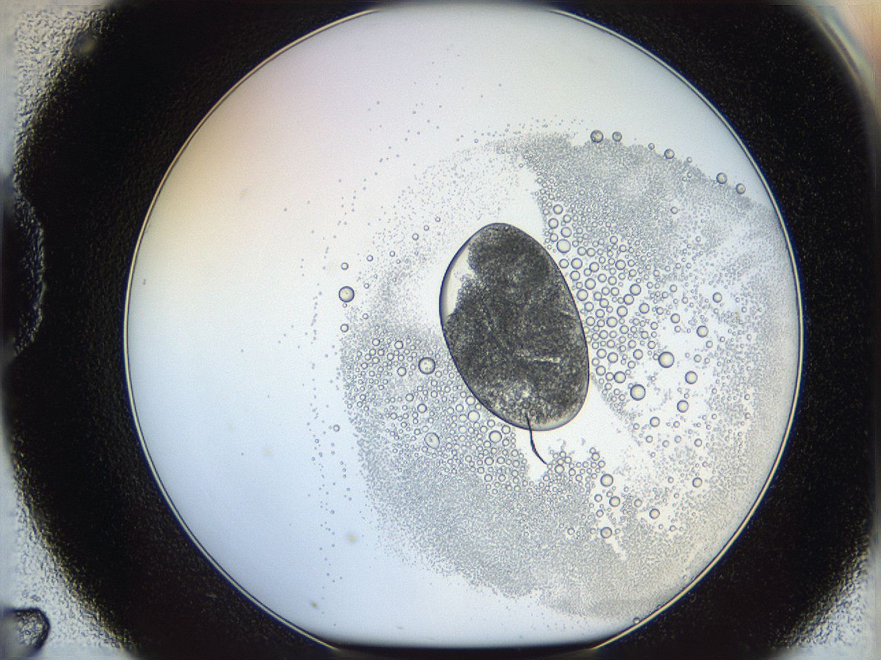 05wy_D7_ImagerDefaults_5.jpg