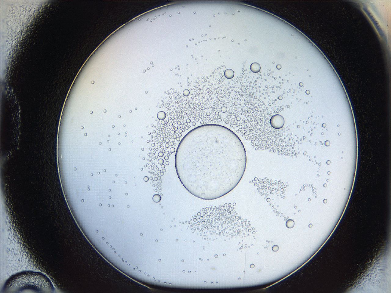 05wy_D10_ImagerDefaults_5.jpg