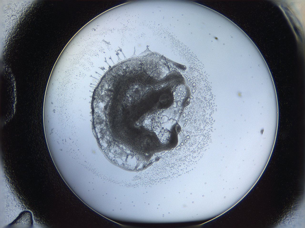 05wy_D11_ImagerDefaults_5.jpg