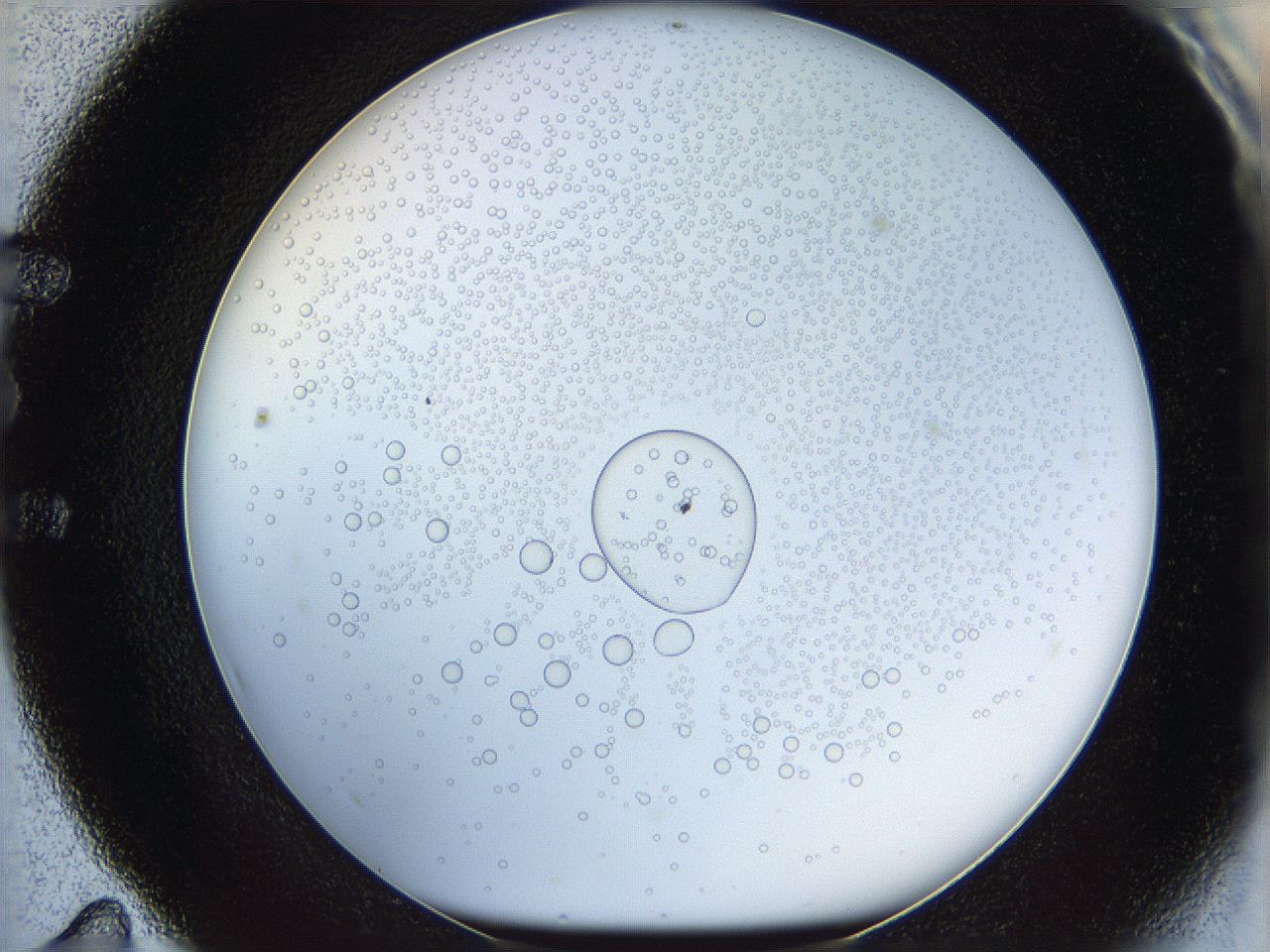 05wy_E11_ImagerDefaults_5.jpg