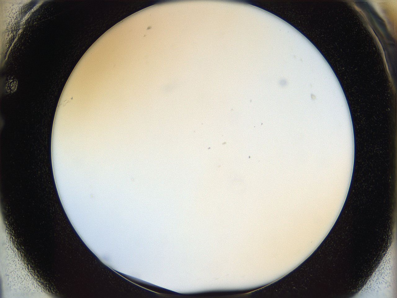 05wy_F1_ImagerDefaults_0.jpg
