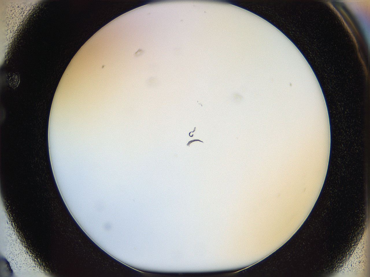 05wy_F3_ImagerDefaults_1.jpg
