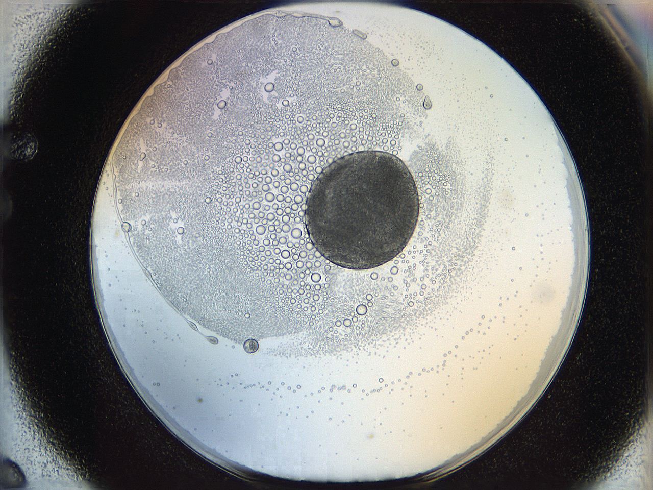 05wy_F6_ImagerDefaults_5.jpg