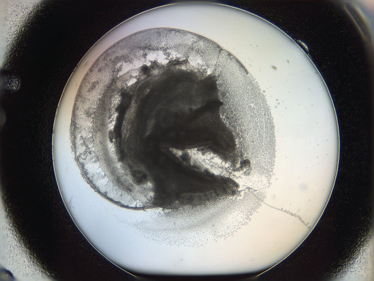 05wy_F9_ImagerDefaults_5.jpg