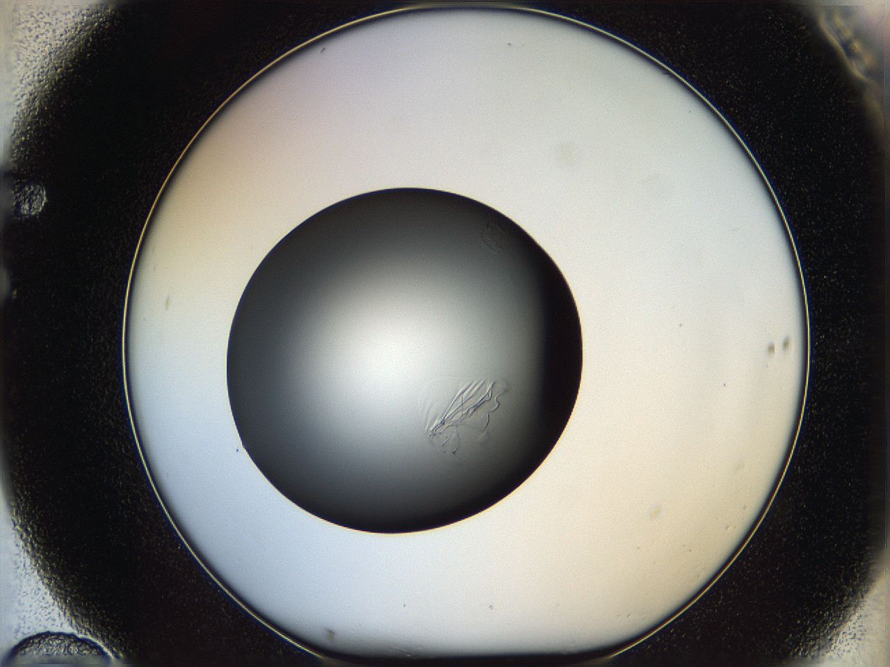 05wy_F10_ImagerDefaults_5.jpg