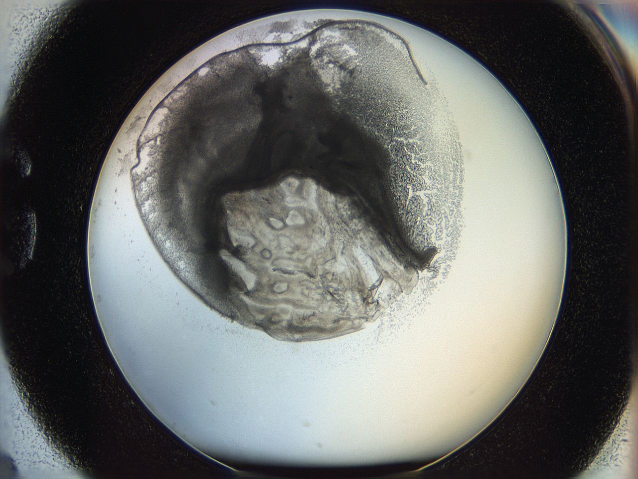 05wy_G4_ImagerDefaults_5.jpg