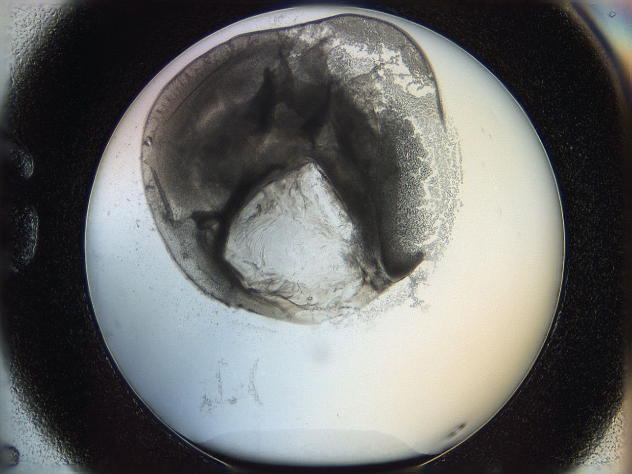 05wy_G5_ImagerDefaults_5.jpg