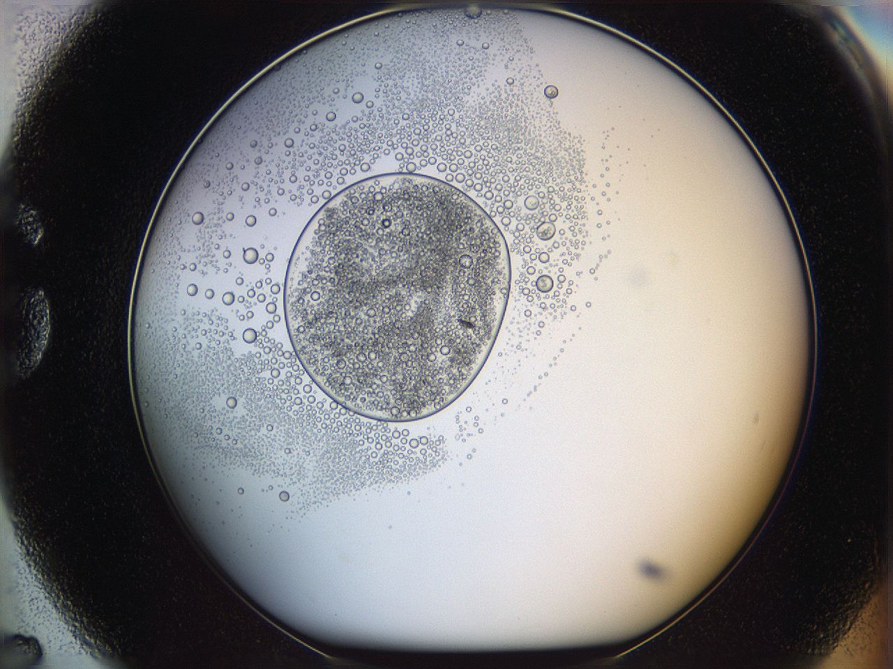 05wy_G7_ImagerDefaults_5.jpg
