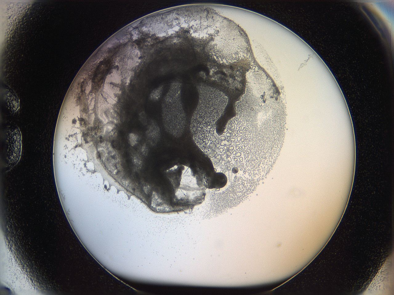 05wy_G9_ImagerDefaults_5.jpg