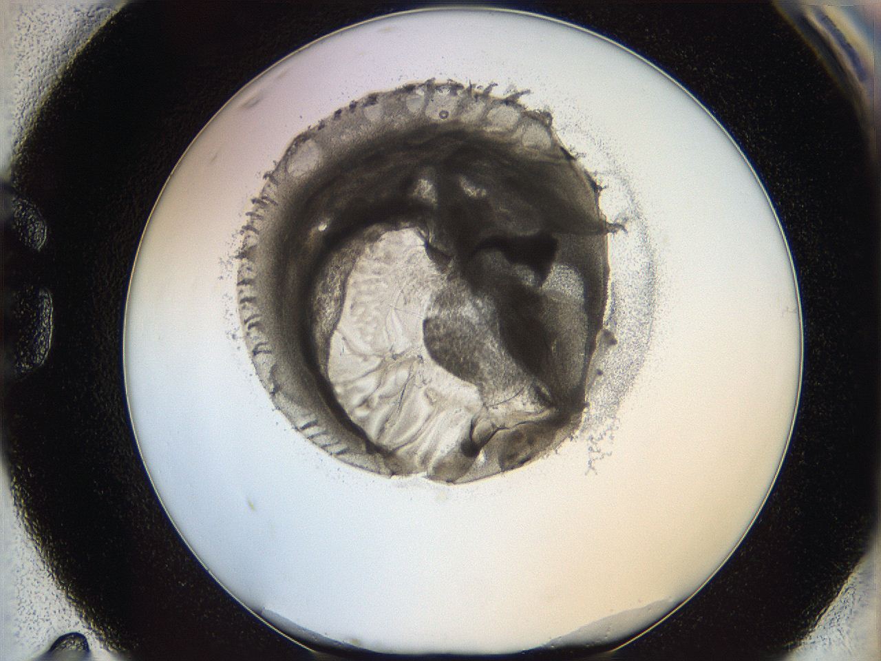 05wy_G11_ImagerDefaults_5.jpg