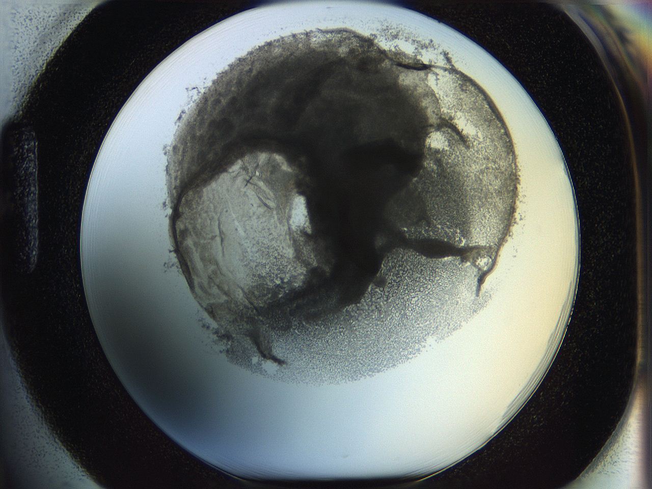 05wy_H1_ImagerDefaults_5.jpg