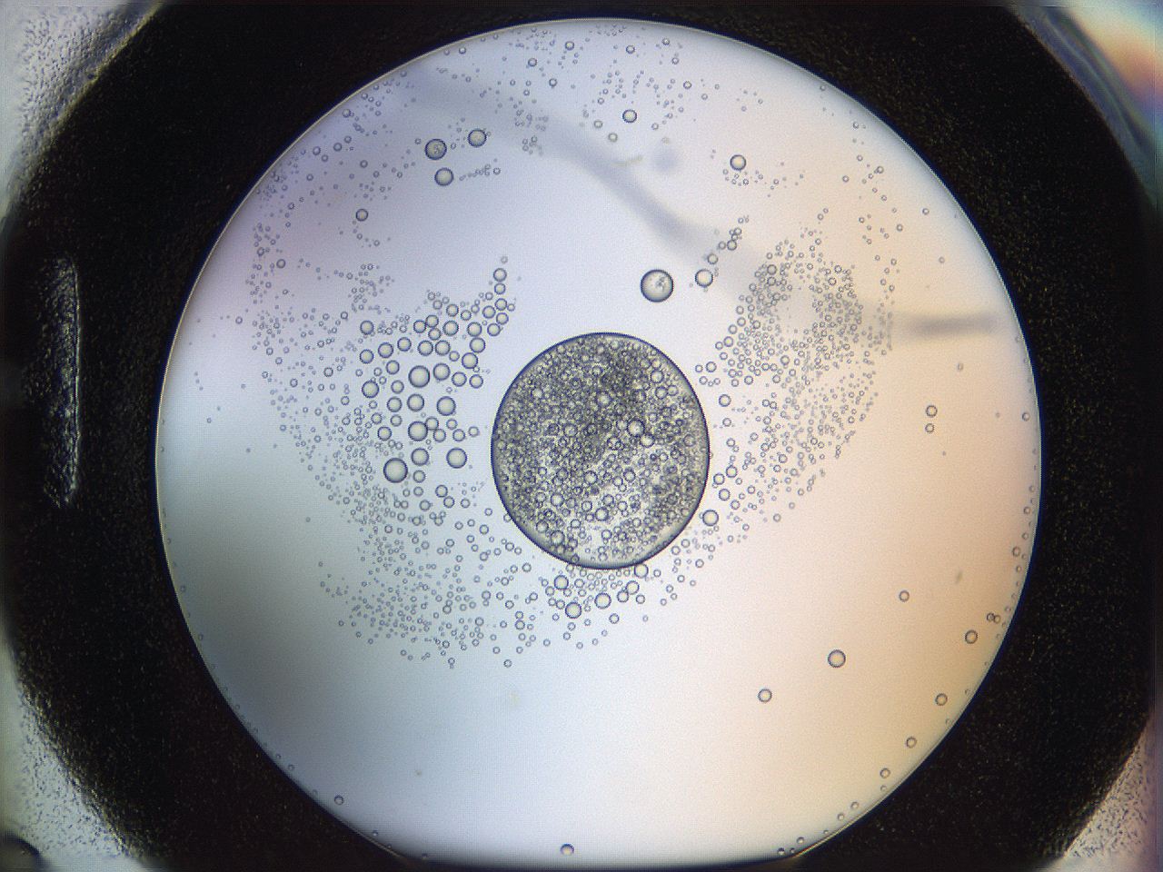 05wy_H6_ImagerDefaults_5.jpg