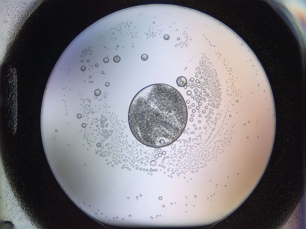 05wy_H7_ImagerDefaults_5.jpg