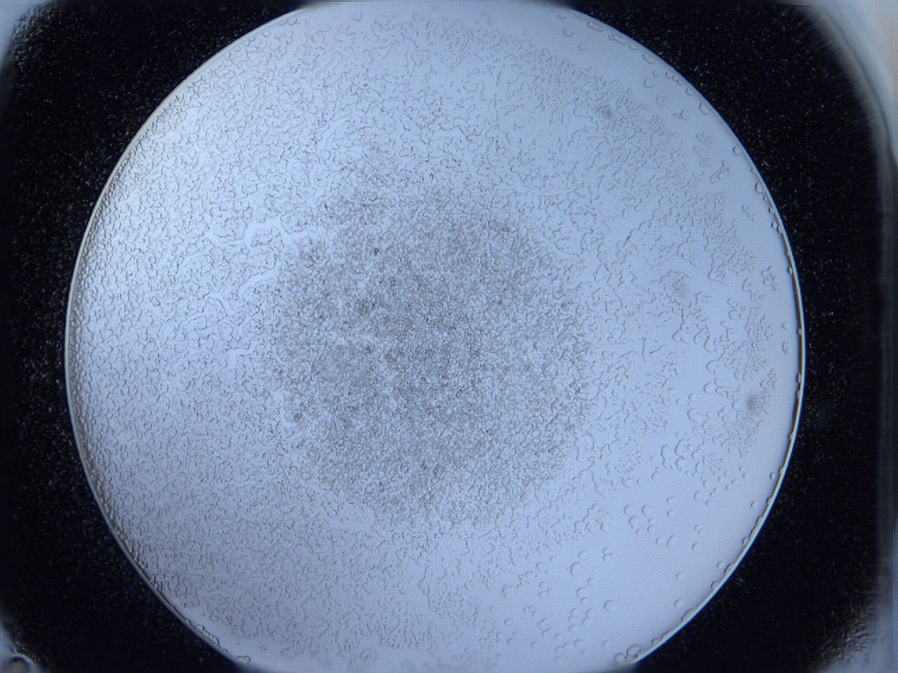 05wz_D11_ImagerDefaults_5.jpg