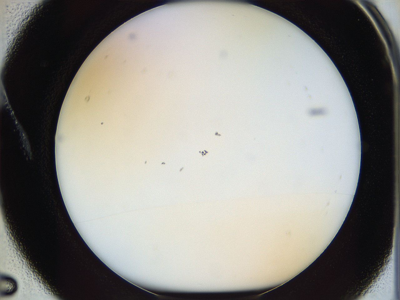 05x0_A5_ImagerDefaults_1.jpg