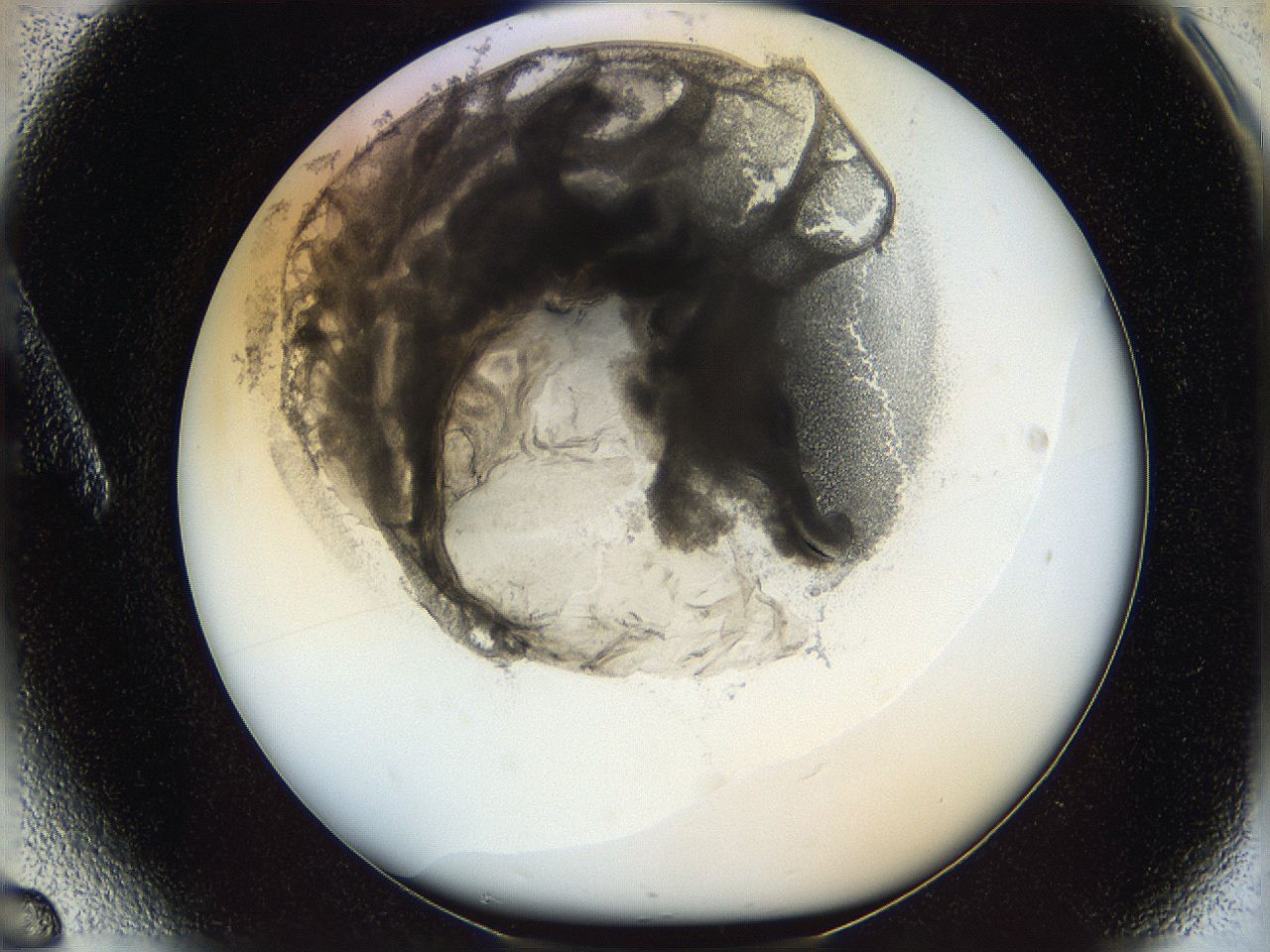 05x0_A6_ImagerDefaults_5.jpg