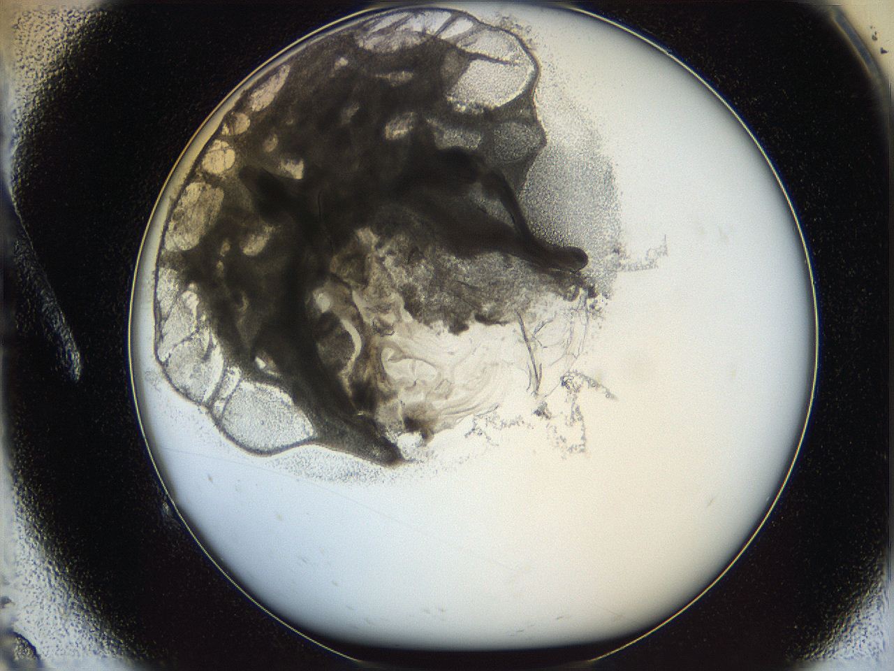 05x0_A9_ImagerDefaults_5.jpg