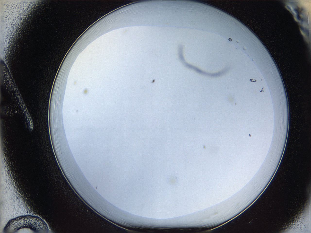 05x0_A12_ImagerDefaults_0.jpg