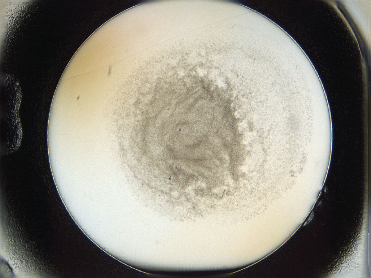 05x0_B2_ImagerDefaults_1.jpg