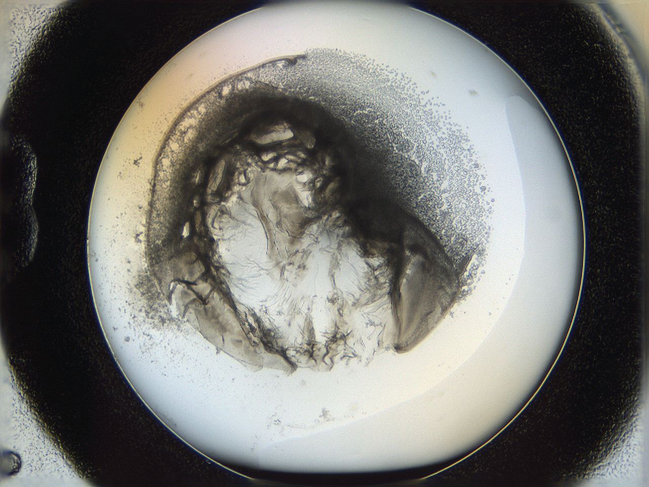 05x0_B5_ImagerDefaults_5.jpg