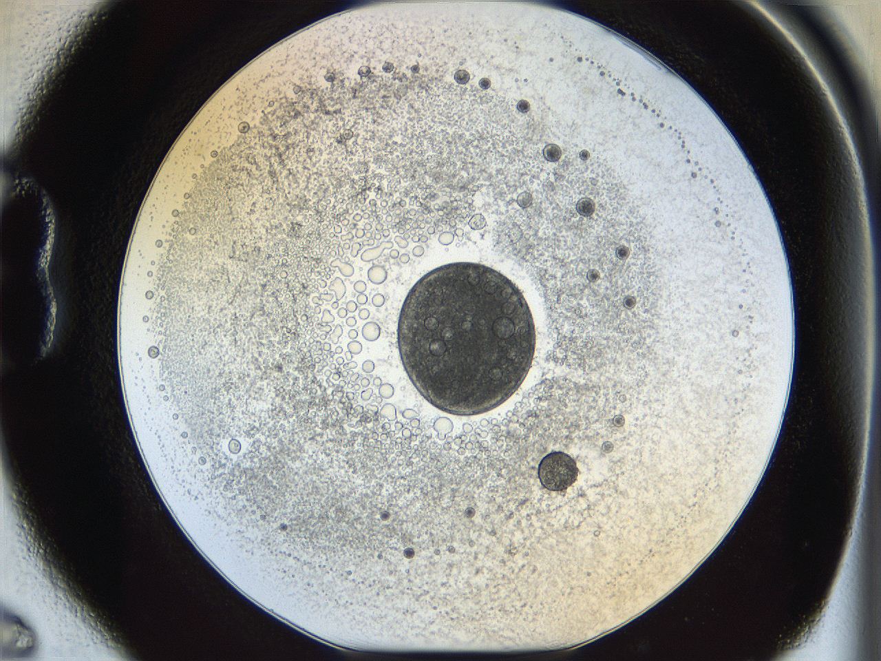 05x0_B6_ImagerDefaults_5.jpg