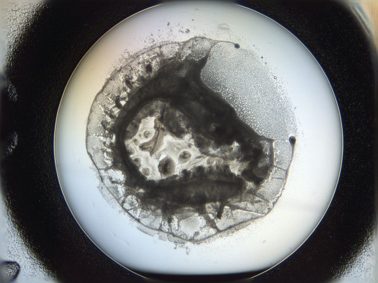 05x0_C7_ImagerDefaults_5.jpg