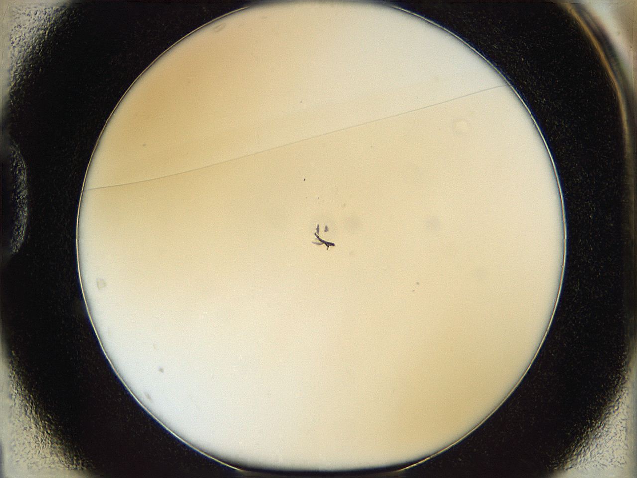 05x0_D1_ImagerDefaults_4.jpg