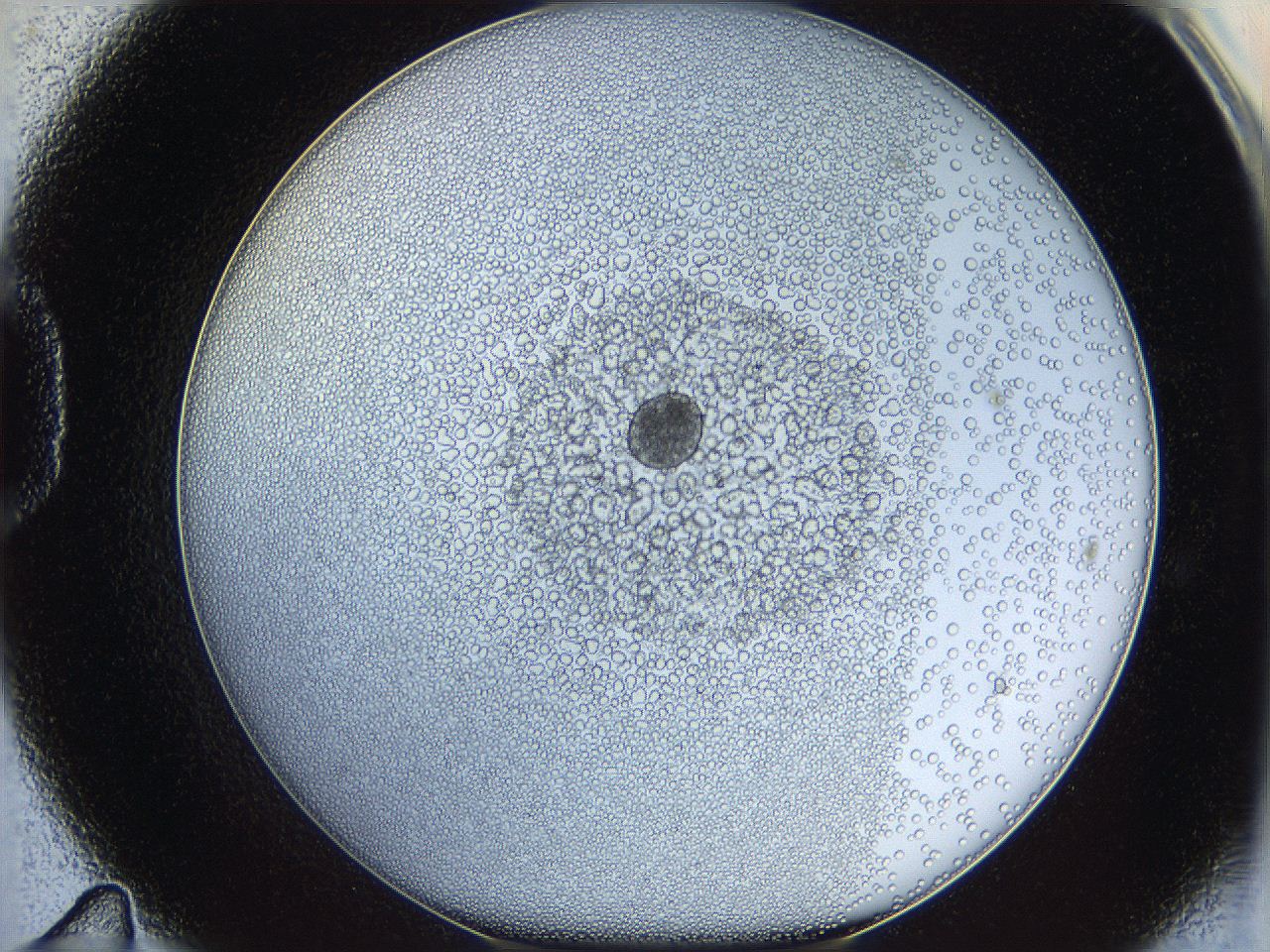 05x0_D11_ImagerDefaults_5.jpg